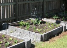 Kwikfynd Organic Gardening
petersville